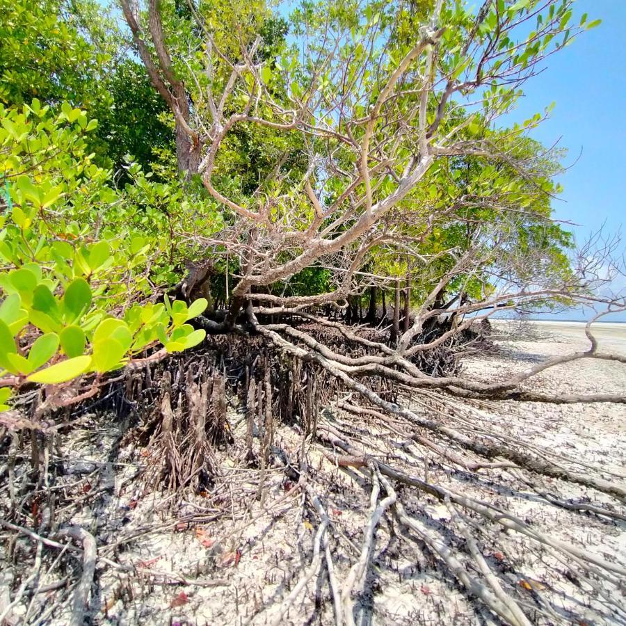 Michamvi Eden Paradise المظهر الخارجي الصورة