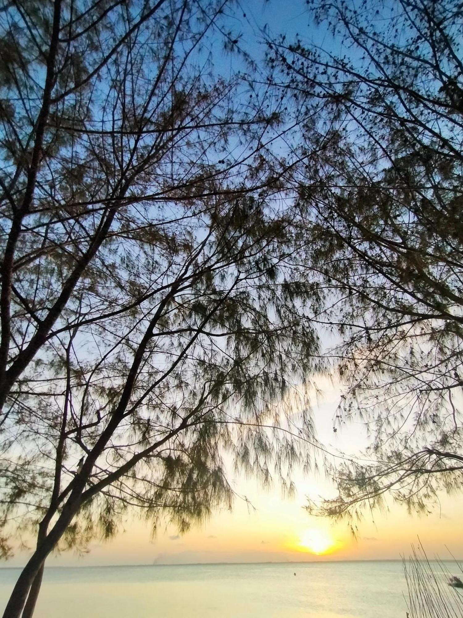 Eden Paradise Michamvi المظهر الخارجي الصورة